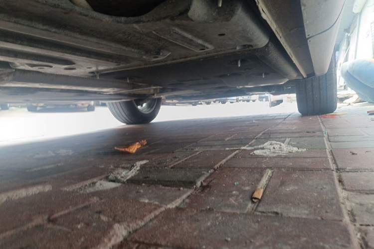 Used Buick Envision 2023 Encore S 552T Two-Wheel Drive Luxury Model Chassis Rear Right