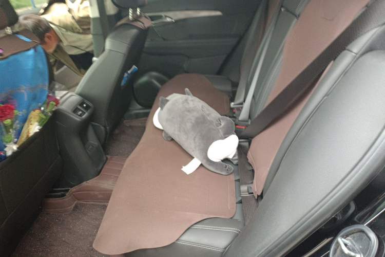 Used Buick Envision 2024 Encore Plus 28T Two-Wheel Drive Luxury Edition Left Rear Seat