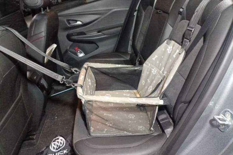 Used Buick Envista 2022 1.5T GS Fuel-Efficient Version Left Rear Seat