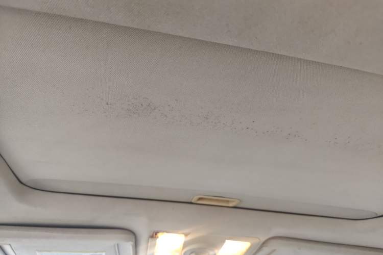 Used Buick Excelle 2006 1.6L Automatic Comfort Model Headliner