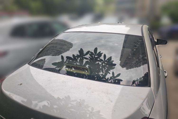 Used Buick Excelle 2011 1.6 LE-AT Rear
