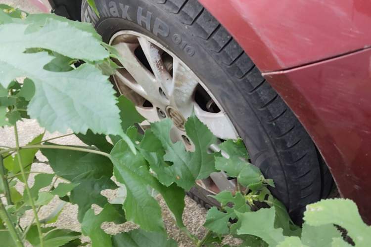 Used Buick Excelle 2013 1.5L Automatic Classic Model Right Front Wheel Hub