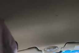 Thumbnail 26