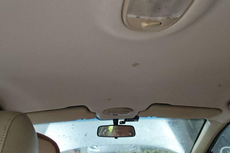 Used Buick Excelle 2013 1.5L Automatic Classic Model Headliner