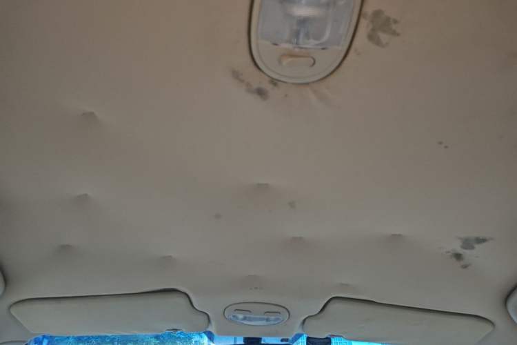 Used Buick Excelle 2013 1.5L Automatic Classic Model Headliner