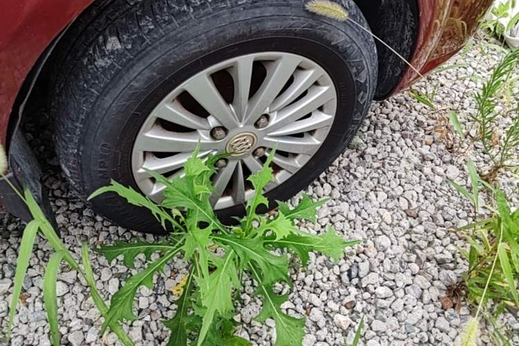Used Buick Excelle 2015 1.5L Manual Classic Trim Right Front Wheel Hub