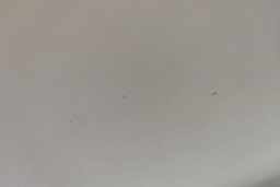 Thumbnail 21