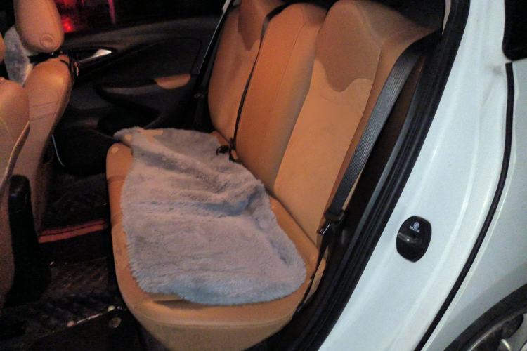 Used Buick Excelle 2018 15N CVT Luxury Version Left Rear Seat
