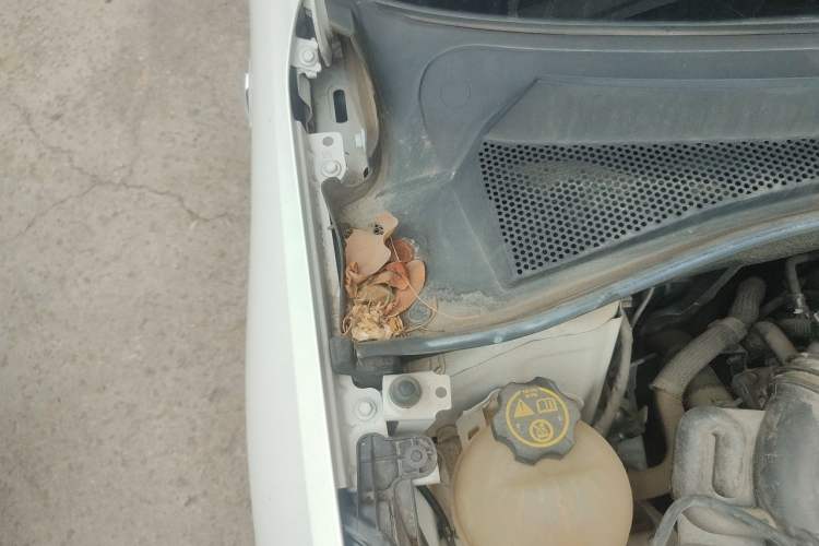 Used Buick Excelle 2020 15N CVT Elite Edition Engine Bay Right