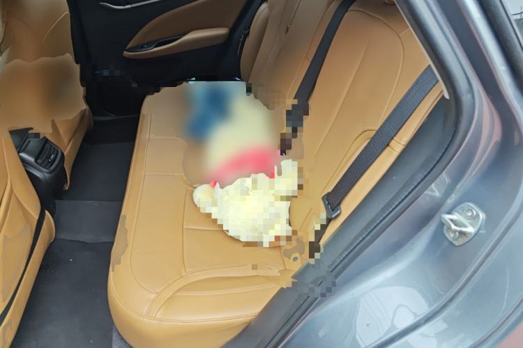 Used Buick Excelle GX 2018 18T Automatic Flagship Model Left Rear Seat