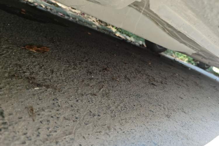 Used Buick Excelle GX 2018 18T Automatic Flagship Model Chassis Front Left