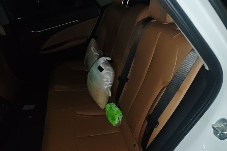 Used Buick Excelle GX 2018 18T Automatic Flagship Model Left Rear Seat