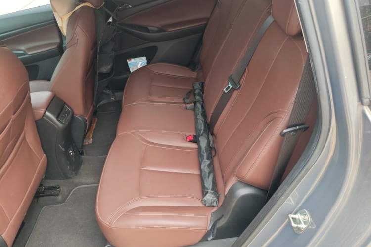 Used Buick GL6 2018 18T 5-seat Luxury Model Left Rear Seat