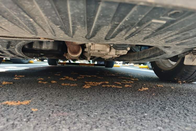 Used Buick GL6 2018 18T 6-Seater Elite Model Chassis Front