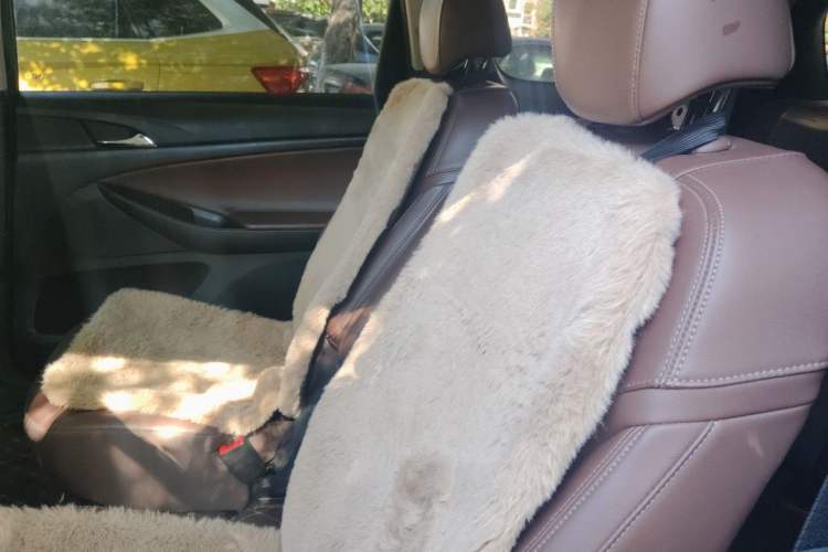 Used Buick GL6 2018 18T 6-Seater Prestige Model Left Rear Seat