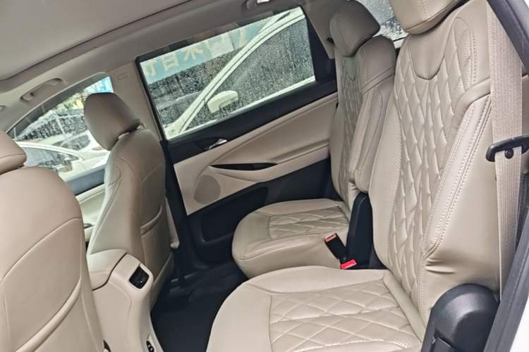 Used Buick GL6 2018 18T 6-Seater Elite Model Left Rear Seat