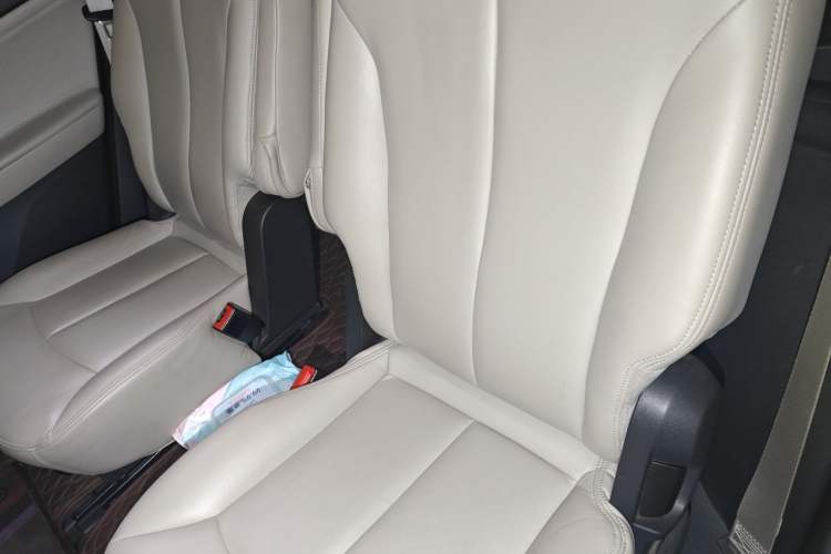 Used Buick GL6 2019 18T 6-Seater Elite Version China VI Standard Left Rear Seat
