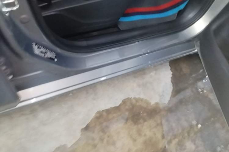 Used Buick GL6 2019 18T 6-Seater Connected Luxury Version China VI Standard Right Side Sill