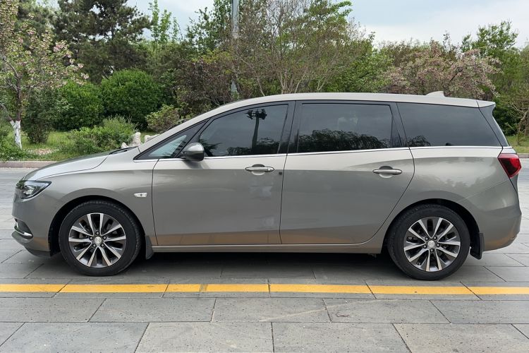 Used Buick GL6 2019 18T 6-Seater Connected Luxury Version China V Standard Exterior 7