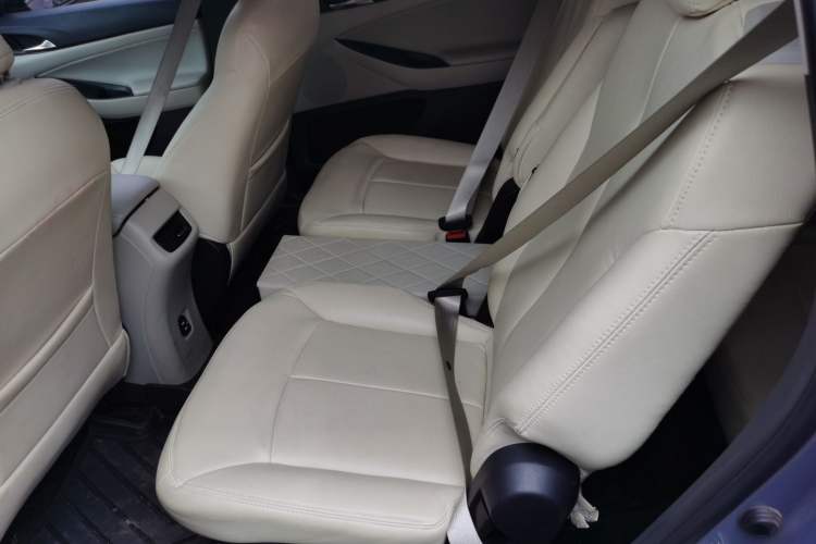 Used Buick GL6 2019 18T 6-Seater Elite Version China VI Standard Left Rear Seat