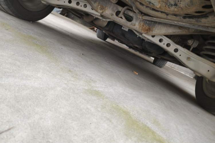 Used Buick GL6 2019 18T 6-Seater Connected Luxury Version China VI Standard Chassis Rear