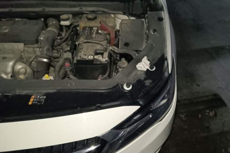 Used Buick GL6 2019 18T 6-Seater Elite Version China VI Standard Engine Bay Left