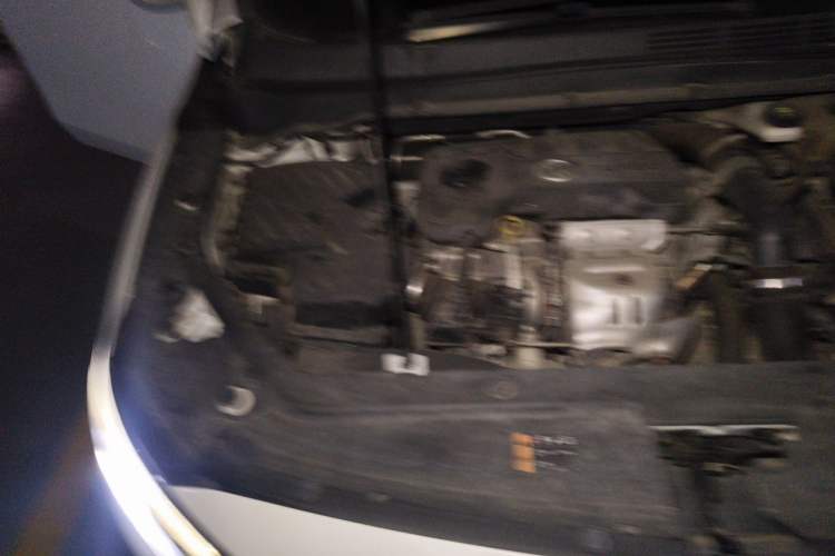 Used Buick GL6 2019 18T 6-Seater Elite Version China V Standard Engine Bay Right