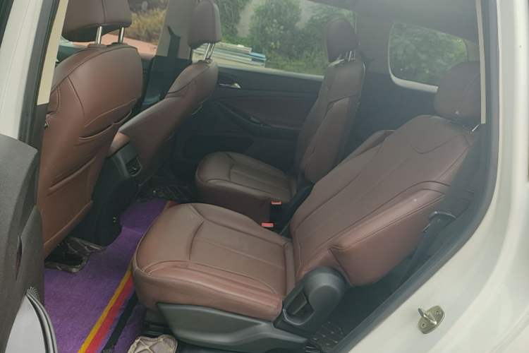 Used Buick GL6 2019 18T 6-Seater Connected Luxury Version China VI Standard Left Rear Seat