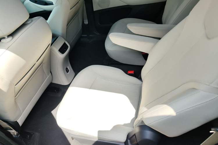 Used Buick GL6 2019 18T 6-Seater Elite Version China VI Standard Left Rear Seat