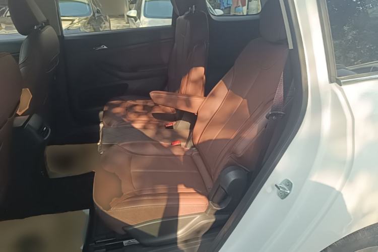 Used Buick GL6 2019 18T 6-Seater Connected Luxury Version China VI Standard Left Rear Seat