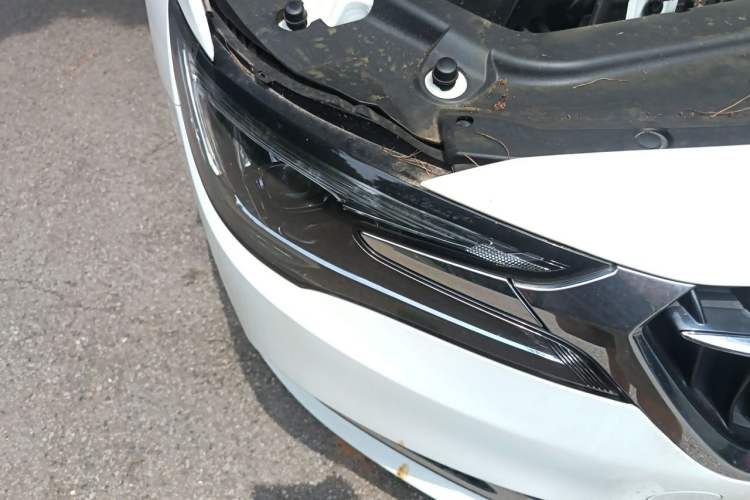 Used Buick GL6 2019 18T 6-Seater Connected Luxury Version China V Standard Right Front Headlight