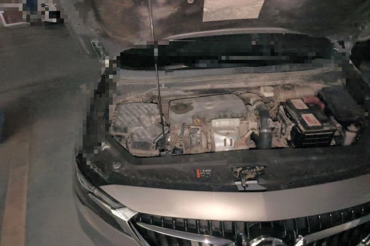 Used Buick GL6 2019 18T 6-Seater Connected Luxury Version China V Standard Engine Bay Right