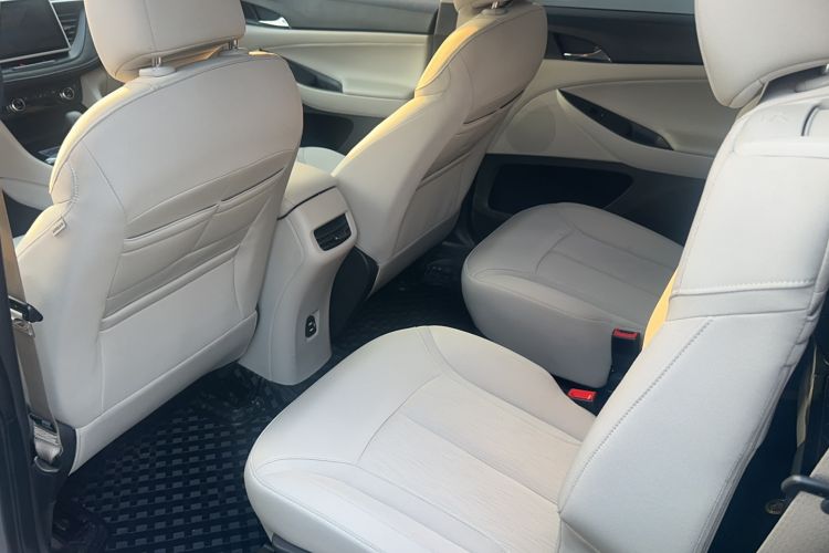 Used Buick GL6 2019 18T 6-Seater Elite Version China VI Standard Interior 3