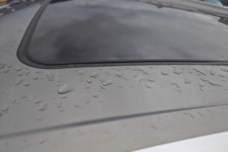 Used Buick GL6 2019 18T 6-Seater Elite Version China VI Standard Roof