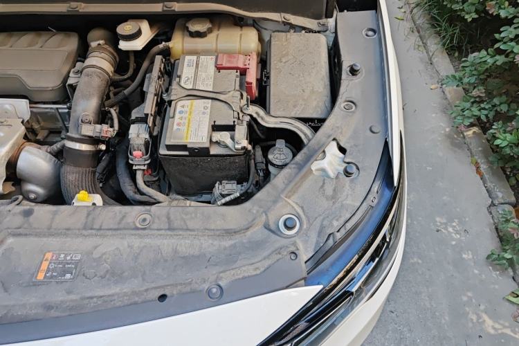 Used Buick GL6 2021 323T Mild Hybrid Connect Luxury Model Engine Bay Left