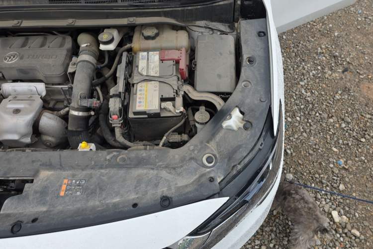 Used Buick GL6 2021 323T Mild Hybrid Connect Luxury Model Engine Bay Left