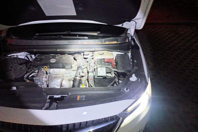 Used Buick GL6 2021 323T Mild Hybrid Connect Prestige Model Engine Bay Left