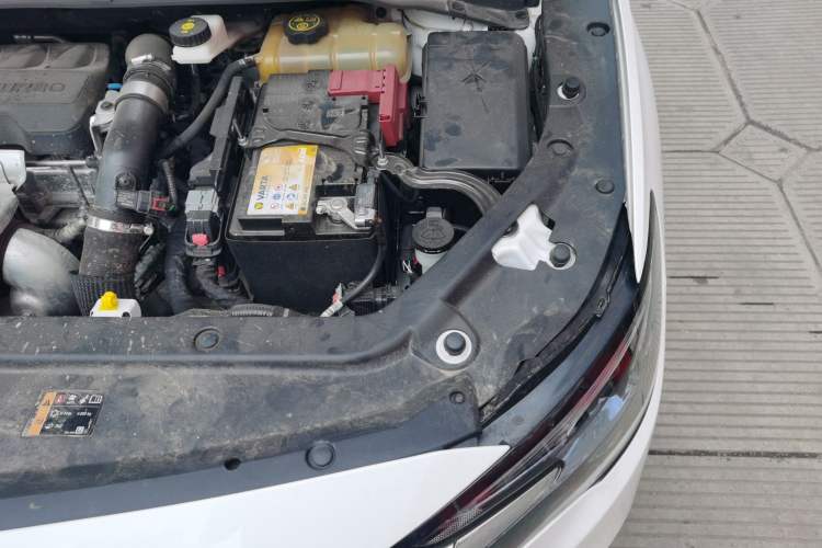 Used Buick GL6 2021 323T Mild Hybrid Connect Luxury Model Engine Bay Left