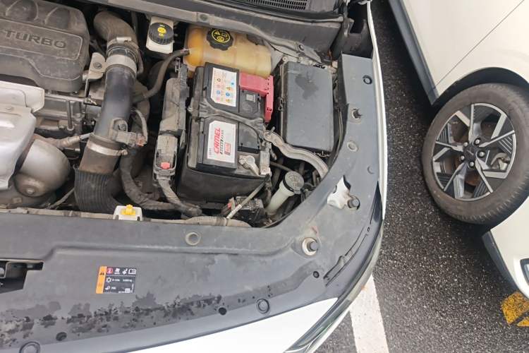 Used Buick GL6 2021 323T Mild Hybrid Connect Luxury Model Engine Bay Left