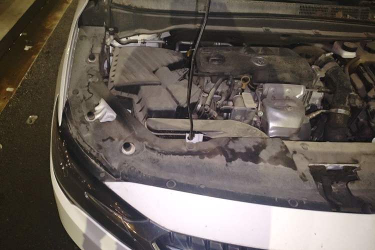 Used Buick GL6 2021 323T Mild Hybrid Connect Luxury Model Engine Bay Right