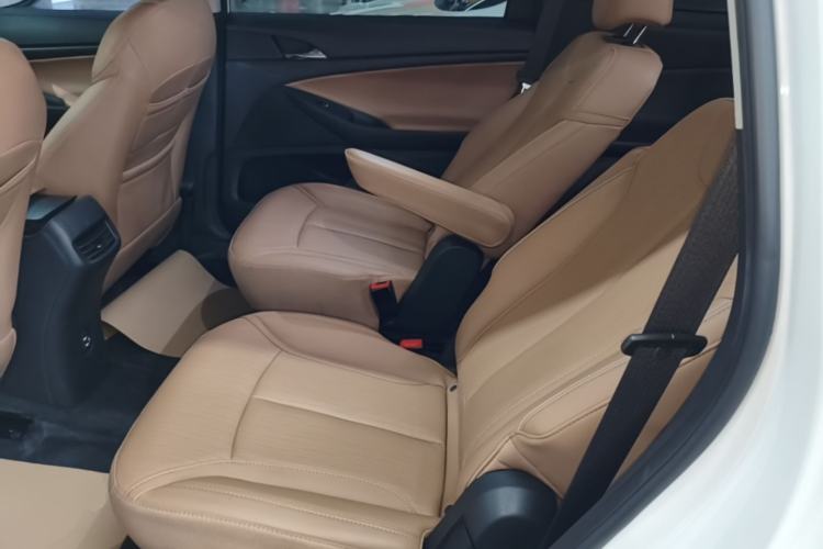 Used Buick GL6 2021 323T Mild Hybrid Connect Luxury Model Left Rear Seat