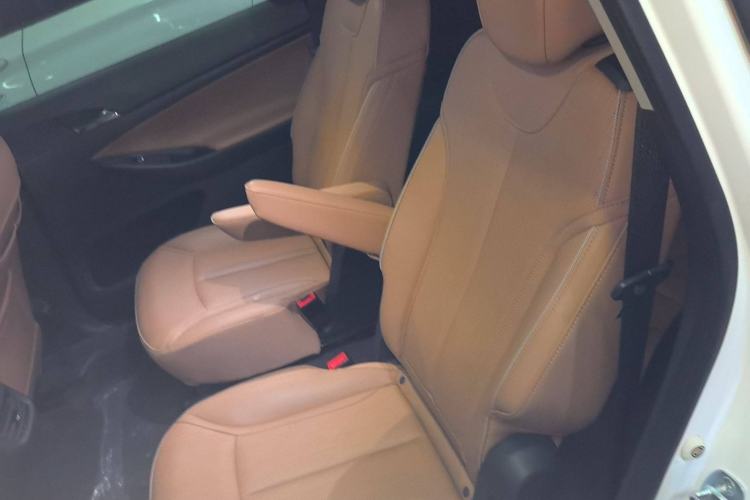 Used Buick GL6 2021 323T Mild Hybrid Connect Luxury Model Left Rear Seat