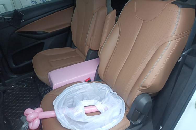 Used Buick GL6 2021 323T Mild Hybrid Connect Luxury Model Left Rear Seat
