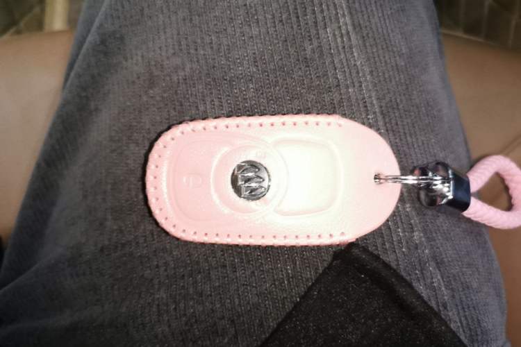 Used Buick GL6 2021 323T Mild Hybrid Connect Prestige Model Vehicle Key
