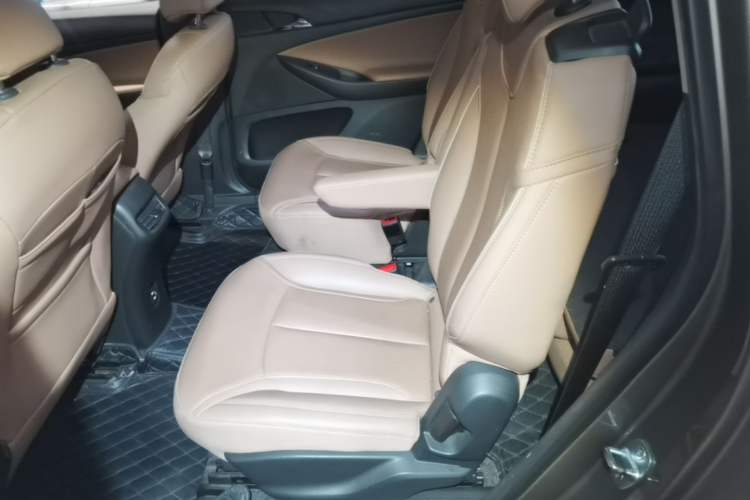 Used Buick GL6 2021 323T Mild Hybrid Connect Luxury Model Left Rear Seat