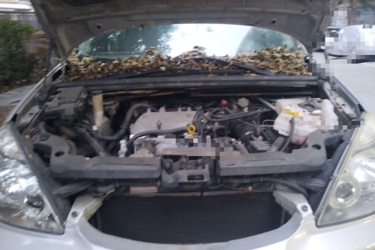 Used Buick GL8 2006 Lu Zun 3.0L GT Elite Edition Engine Bay