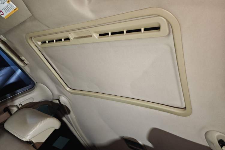 Used Buick GL8 2006 Lu Zun 3.0L LT Luxury Edition Headliner