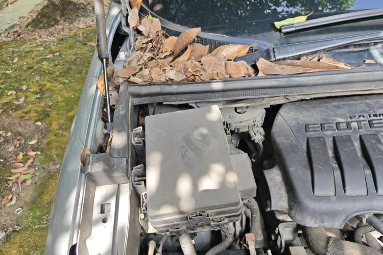 Used Buick GL8 2011 2.4L LT Executive Edition Engine Bay Right