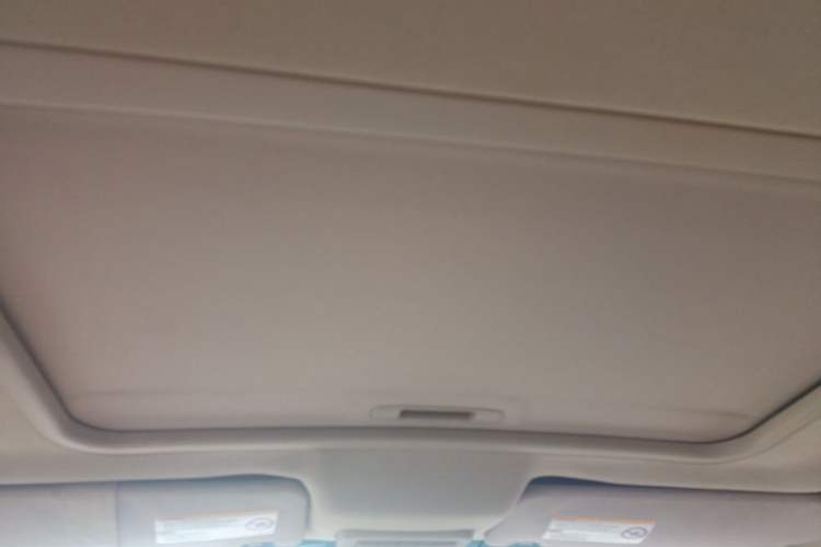 Used Buick GL8 2011 2.4L LT Executive Edition Headliner