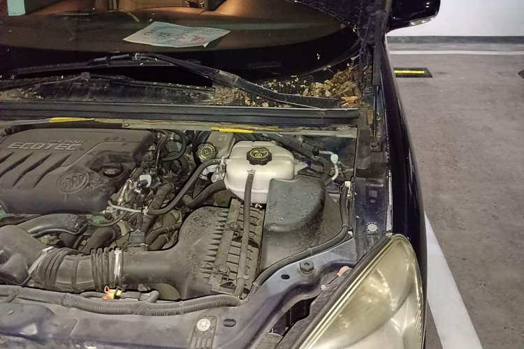 Used Buick GL8 2012 2.4L BASE Comfort Edition Engine Bay Left